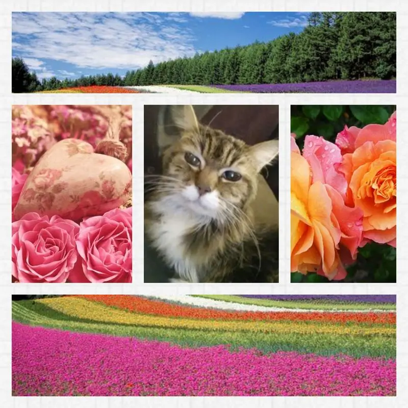 Andachtsbild von Anja mit Joy im Herzen 