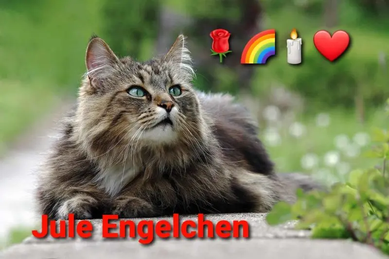 Andachtsbild von Tanja mit Timmy im Herzen 