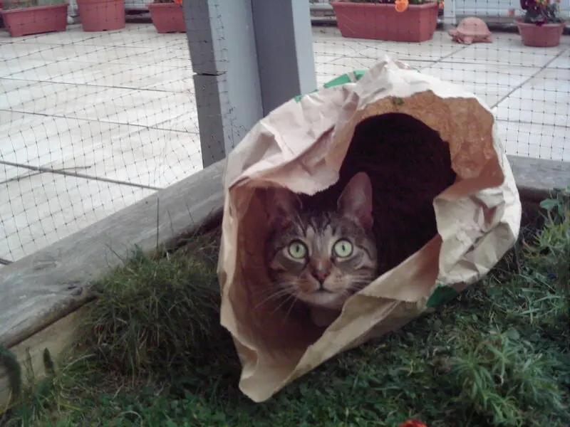 Andachtsbild von deiner Ilse in Liebe