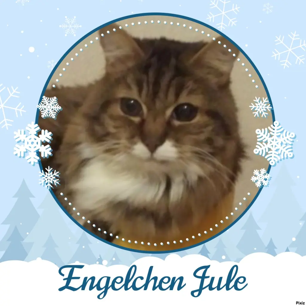 Andachtsbild von Tanja mit Timmy im Herzen 