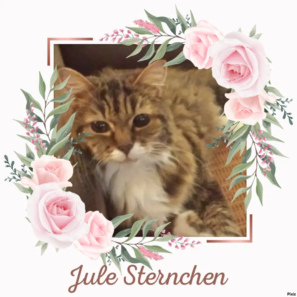 Andachtsbild von Tanja mit Timmy im Herzen 