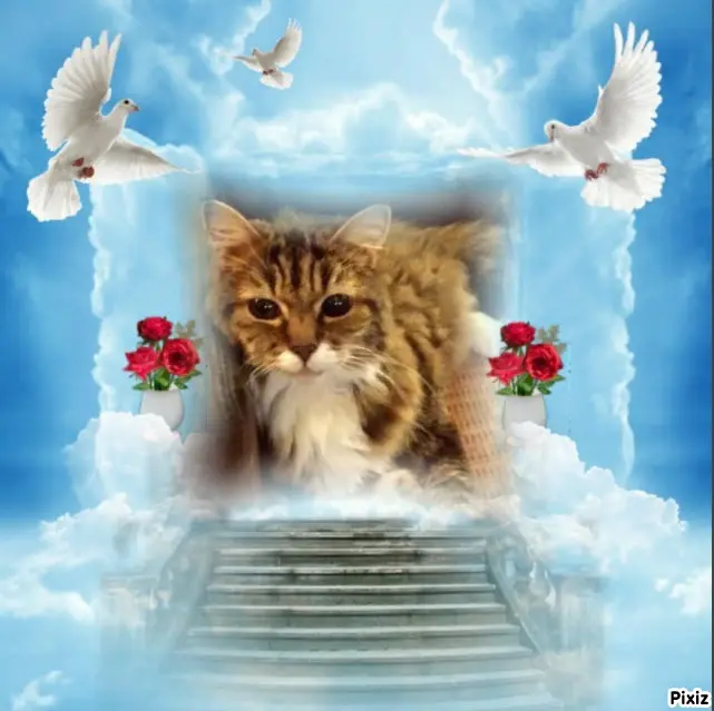 Andachtsbild von Tanja mit Timmy im Herzen 