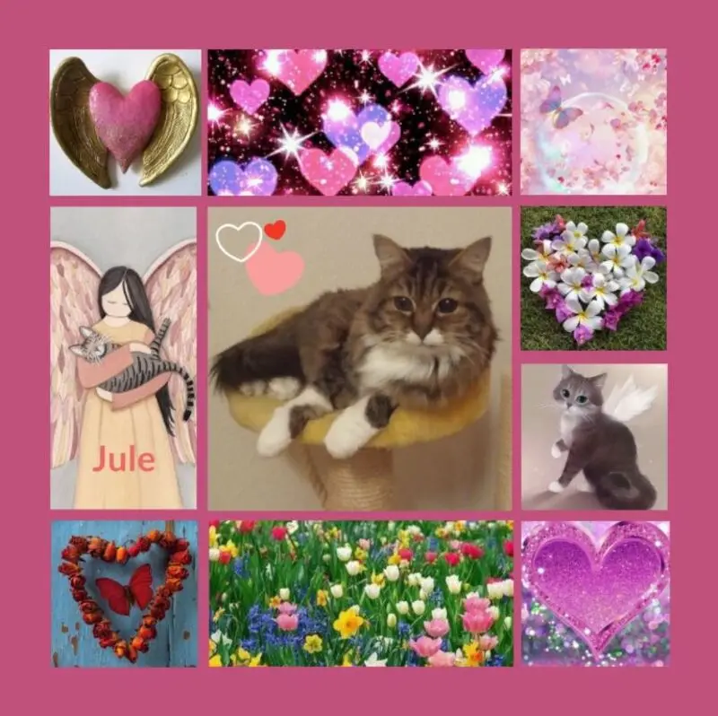 Andachtsbild von Für Jule zum 3. Sternchengeburtstag