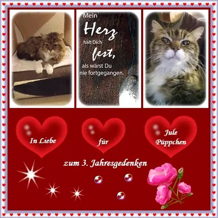 Andachtsbild von deiner Ilse in Liebe zum 3. Jahresgedenken