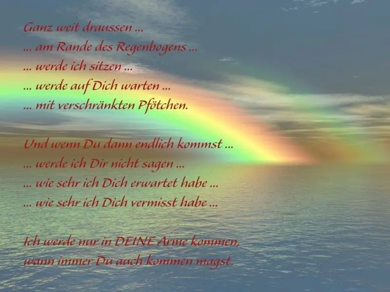 Andachtsbild von Hans u. Sibylle mit Momo † 13.11.2017