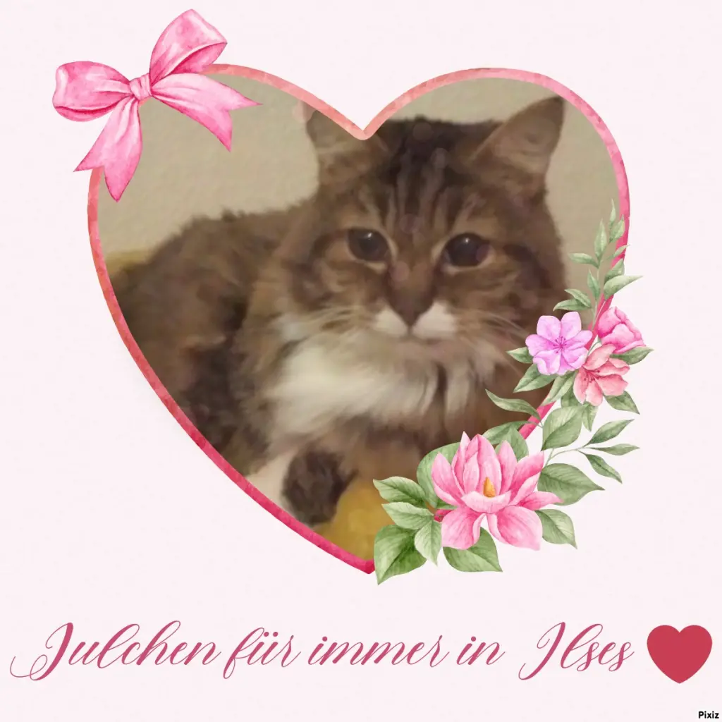 Andachtsbild von Tanja mit Timmy im Herzen 