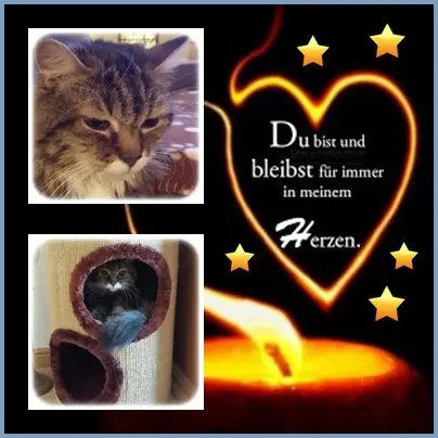 Andachtsbild von deiner Ilse in Liebe zum 38. Gedenkmonat