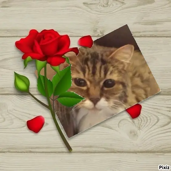 Andachtsbild von Tanja mit Timmy im Herzen 