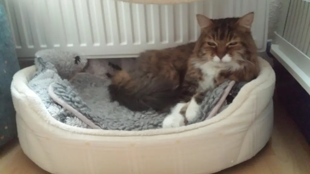 Andachtsbild von deiner Ilse in Liebe zum 39. Gedenkmonat