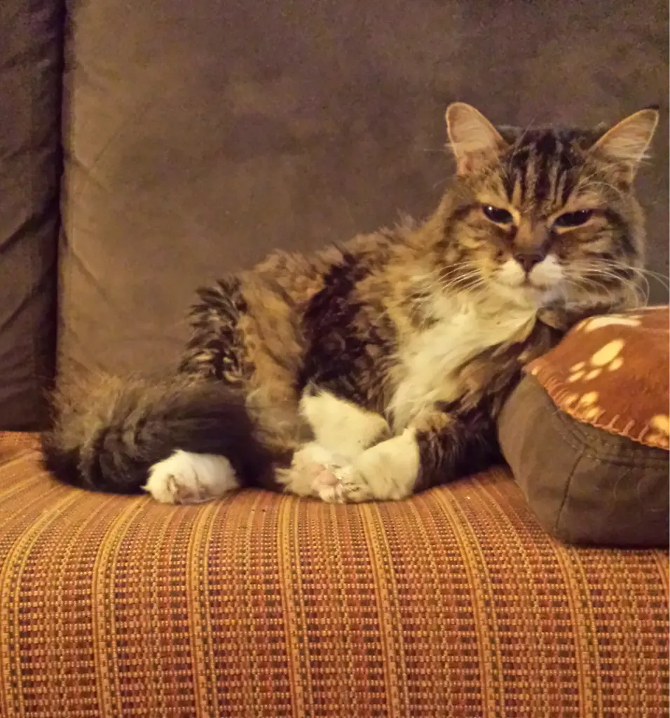 Andachtsbild von deiner Ilse in Liebe zum 42. Gedenkmonat