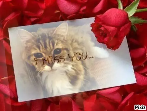 Andachtsbild von Tanja mit Timmy im Herzen 