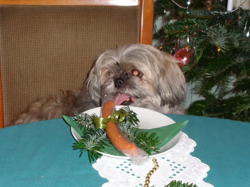 Andachtsbild von Kathrin mit Susi im Herzen