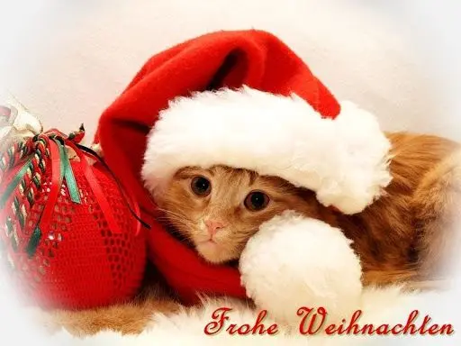 Andachtsbild von Frohe❤❤❤Weihnachten❤❤❤