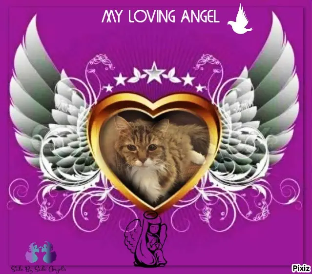 Andachtsbild von Tanja mit Timmy im Herzen 