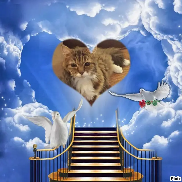 Andachtsbild von Tanja mit Timmy im Herzen 