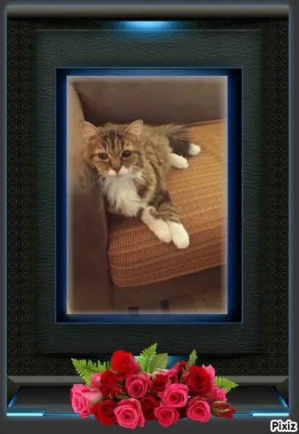 Andachtsbild von Tanja mit Timmy im Herzen 