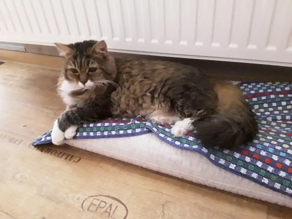 Andachtsbild von deiner Ilse in Liebe zum 47. Gedenkmonat