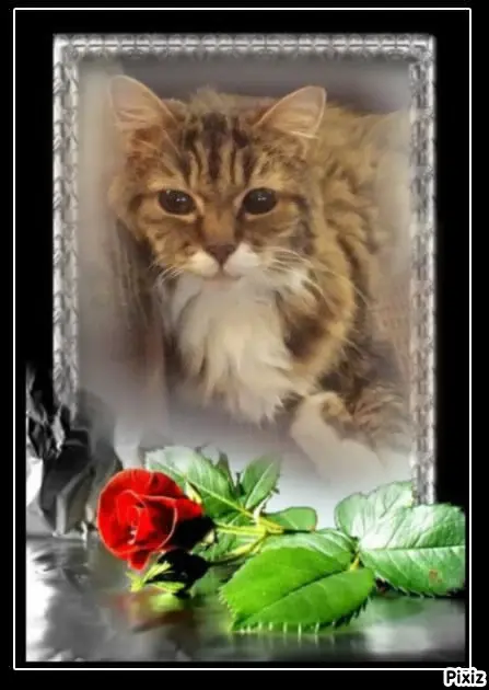 Andachtsbild von Tanja mit Timmy im Herzen 