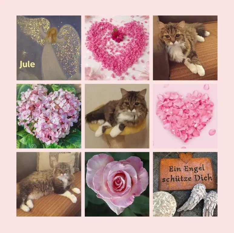 Andachtsbild von Rosen für Jule zum 4. Jahresgedenken