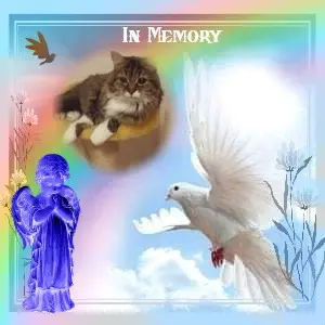 Andachtsbild von 4.Sternchen❤️Gedenktag❤️❤️❤️❤️