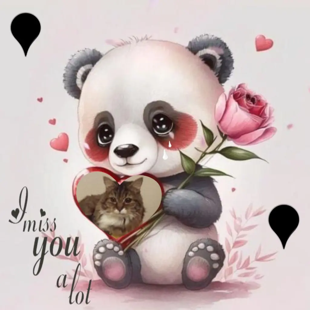 Andachtsbild von 4.Sternchen❤️Gedenktag❤️❤️❤️❤️