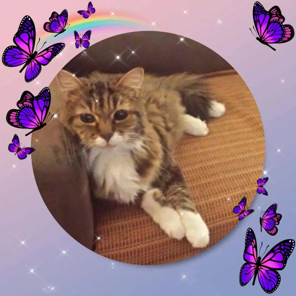 Andachtsbild von ❤️Eike und Edeltraud ❤️ 