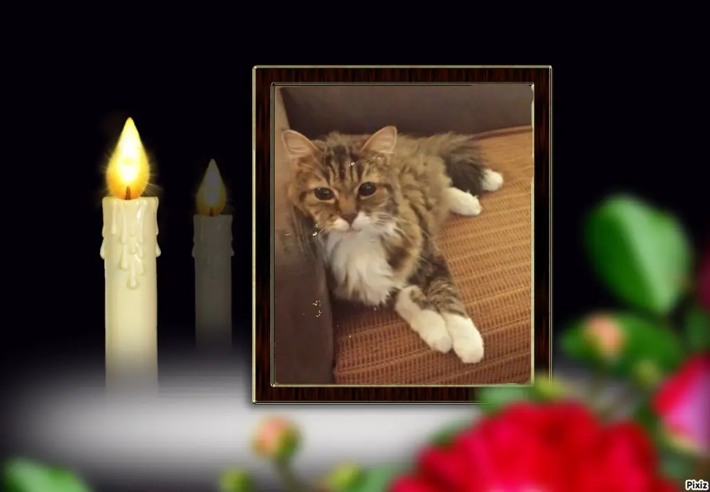 Andachtsbild von Tanja mit Timmy im Herzen