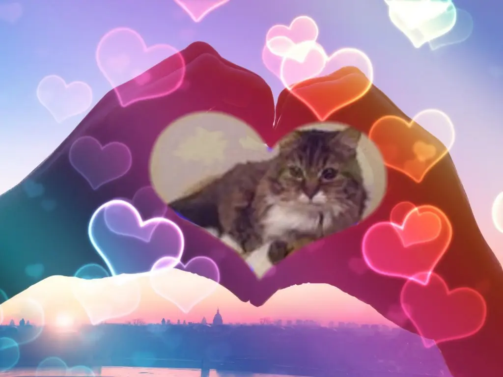 Andachtsbild von Mitwochs❤️Rosen❤️❤️❤️❤️❤️❤️❤️❤️