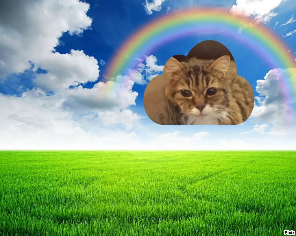 Andachtsbild von Tanja mit Timmy im Herzen 