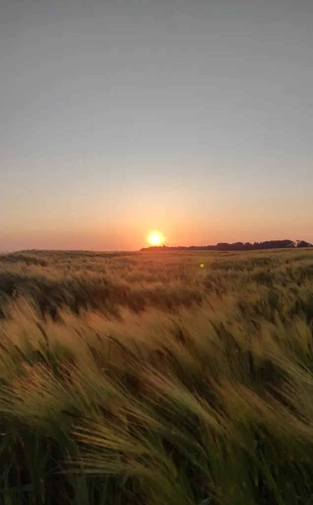 Andachtsbild von Corinna mit Emma, Pummelchen und anderen Sternlein im ❤️