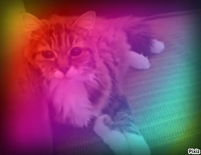 Andachtsbild von Tanja mit Timmy im Herzen