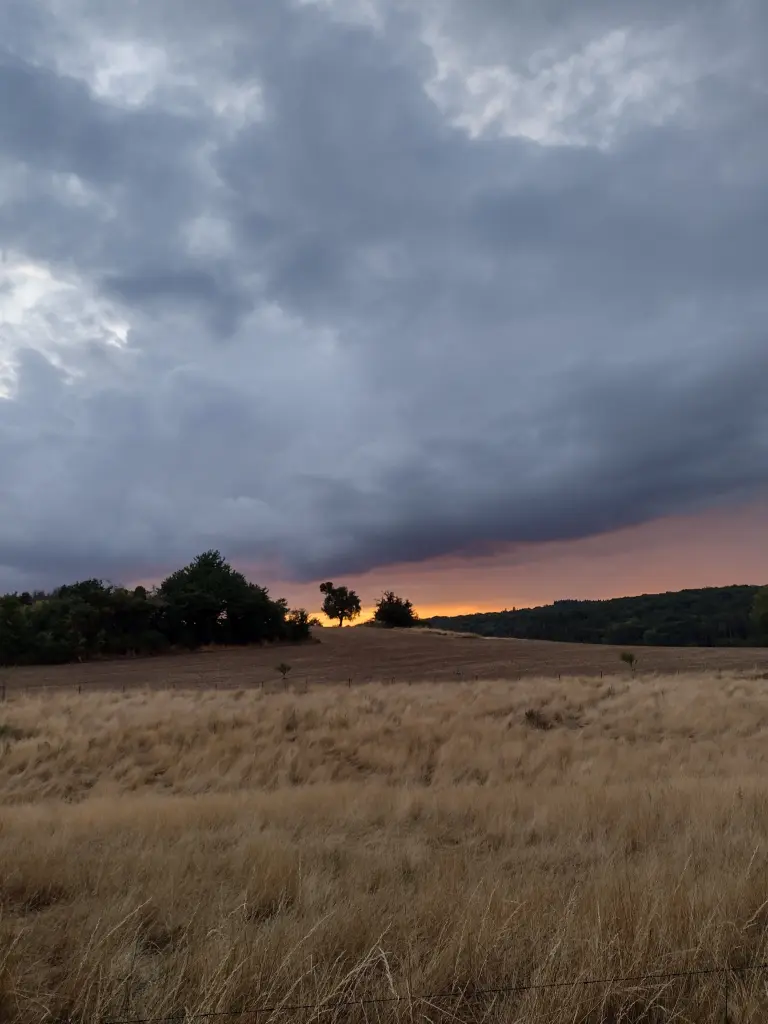 Andachtsbild von Corinna mit Emma, Pummelchen und anderen Sternlein im ❤️