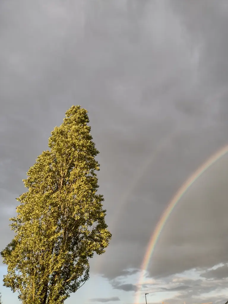 Andachtsbild von Corinna mit Emma, Pummelchen und anderen Sternlein im ❤️