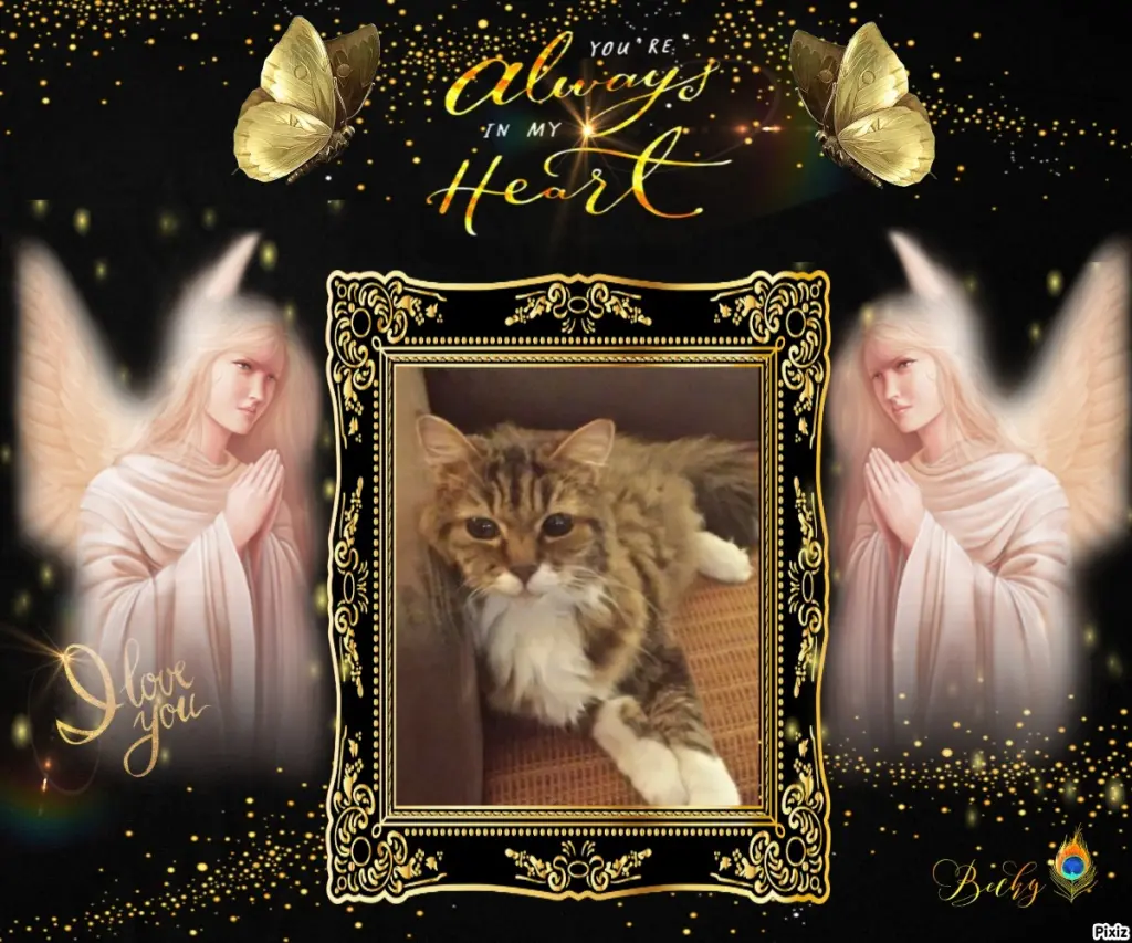 Andachtsbild von Tanja mit Timmy im Herzen 