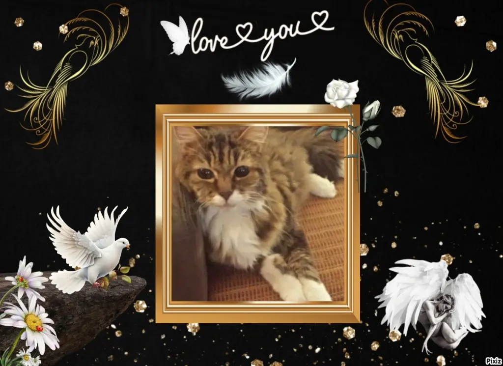 Andachtsbild von Tanja mit Timmy im Herzen 