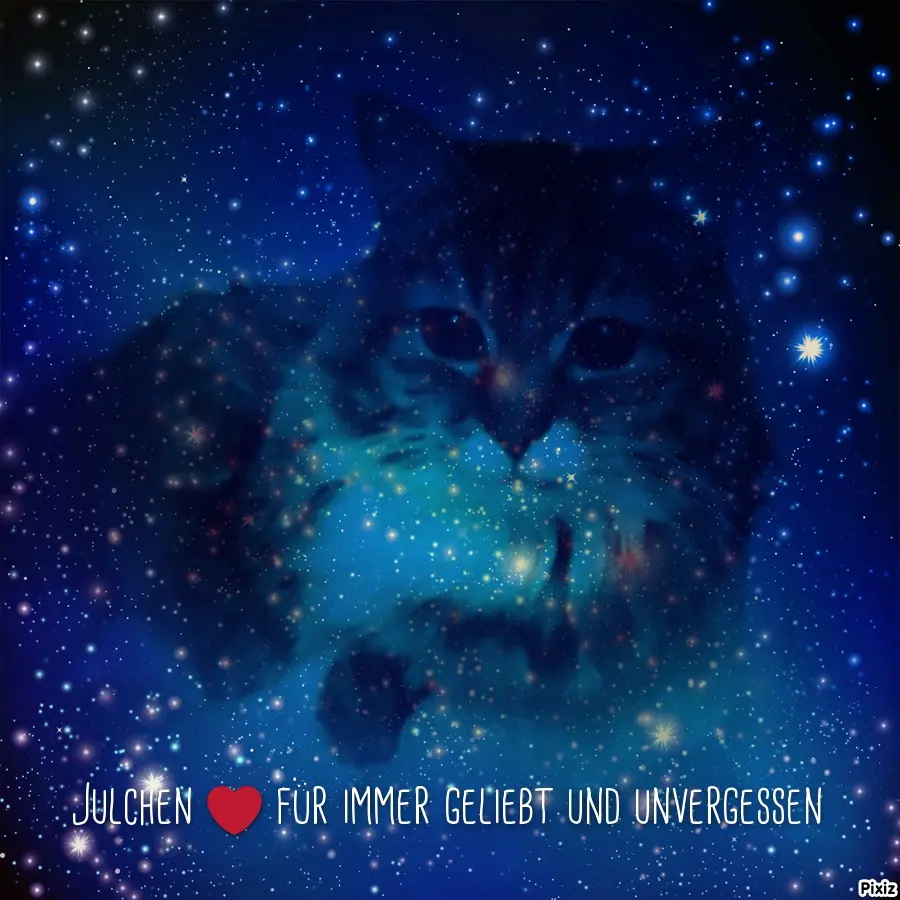 Andachtsbild von Tanja mit Timmy im Herzen 