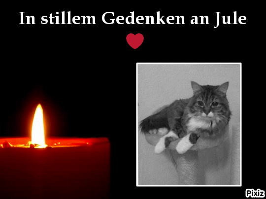 Andachtsbild von Tanja mit Timmy im Herzen 