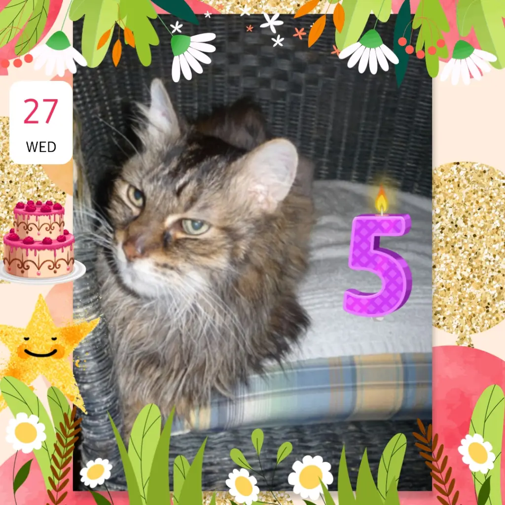 Andachtsbild von ❤️5. Sternchengeburtstag Julepüppchen❤️