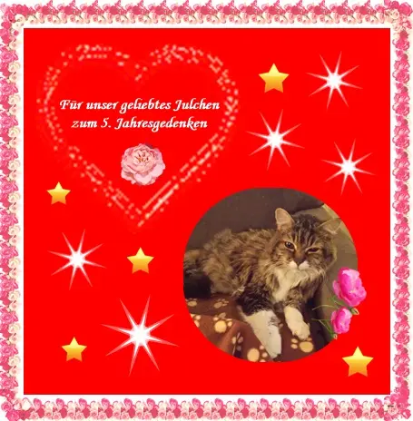 Andachtsbild von deiner Ilse in Liebe zum 5. Jahresgedenken