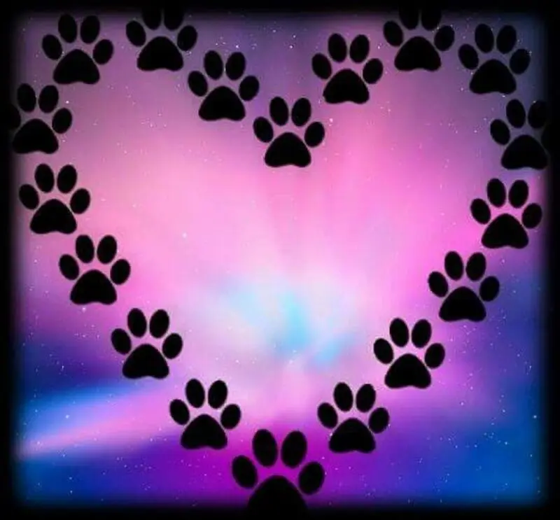 Andachtsbild von Hans u. Sibylle mit Momo † 13.11.2017