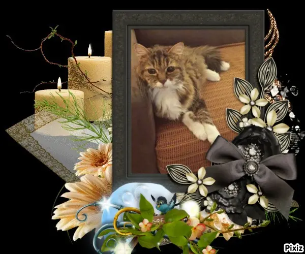 Andachtsbild von Tanja mit Timmy im Herzen