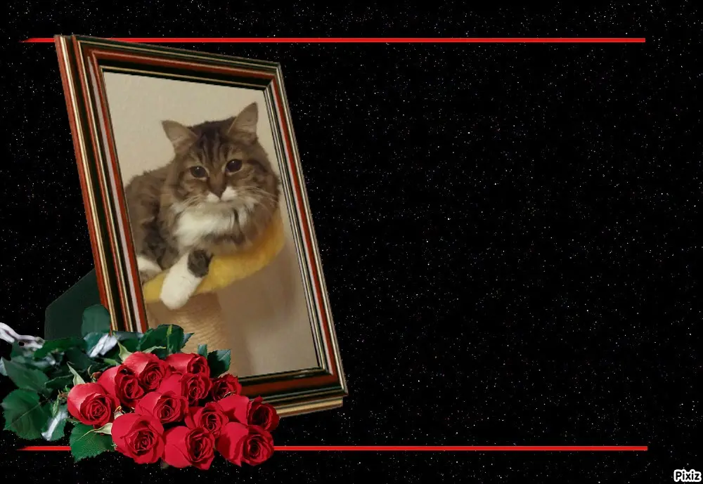 Andachtsbild von Tanja mit Timmy im Herzen