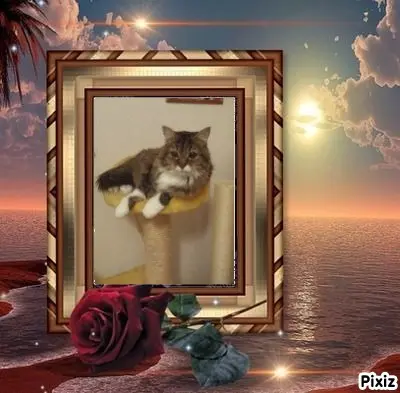 Andachtsbild von Tanja mit Timmy im Herzen