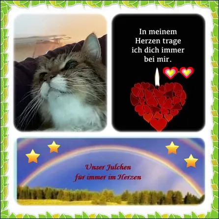 Andachtsbild von deiner Ilse in Liebe zum 63. Monatsgedenken