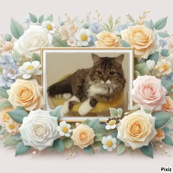 Andachtsbild von Tanja mit Timmy im Herzen 