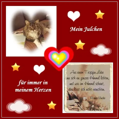 Andachtsbild von deiner Ilse in Liebe zum 64. Monatsgedenken