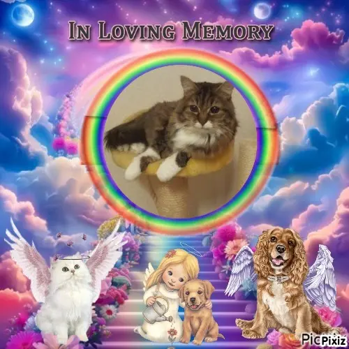 Andachtsbild von Tanja mit Timmy im Herzen 