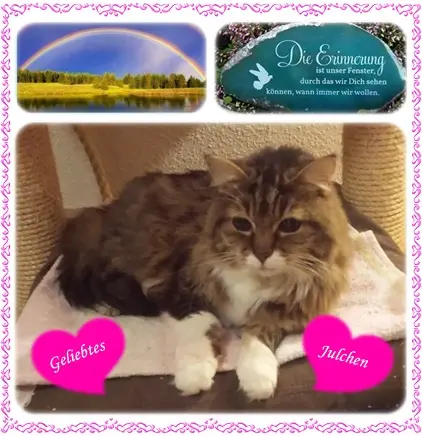 Andachtsbild von deiner Ilse in Liebe zum 65. Monatsgedenken