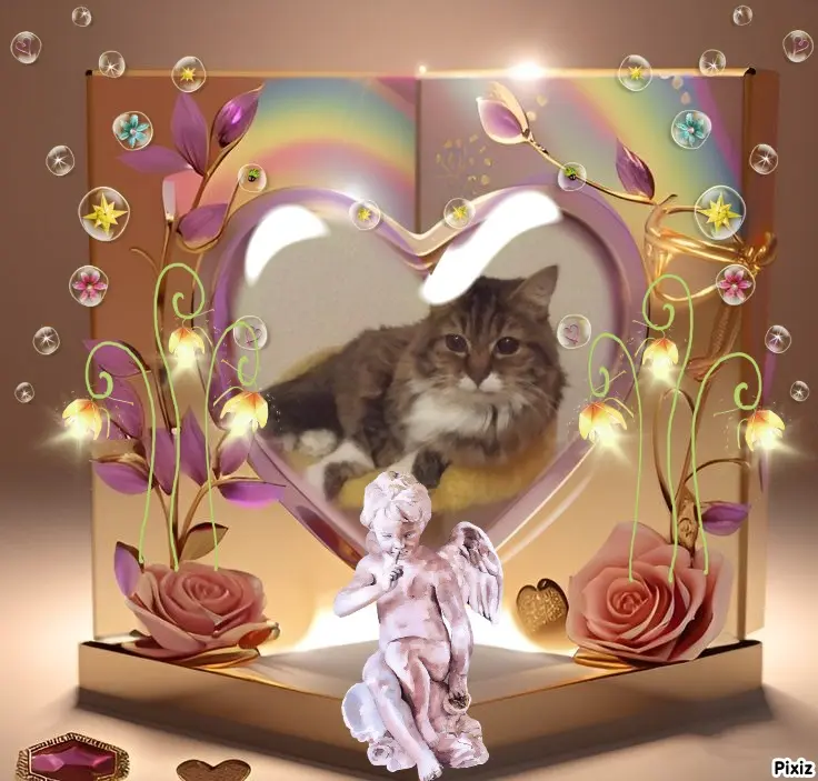 Andachtsbild von Tanja mit Timmy im Herzen 