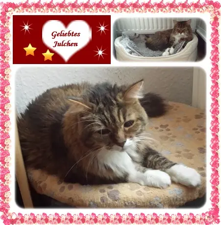 Andachtsbild von deiner Ilse in Liebe zum 66. Monatsgedenken